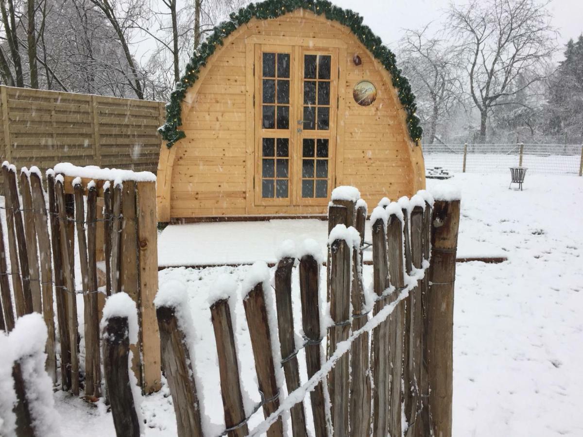 Het Koningshofje Acomodação com café da manhã NeerNeerpelt Exterior foto